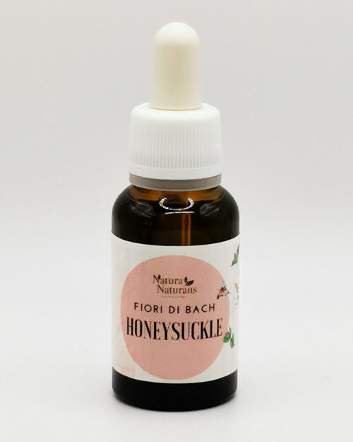 Fiori di Bach Honey Suckle – ml 20